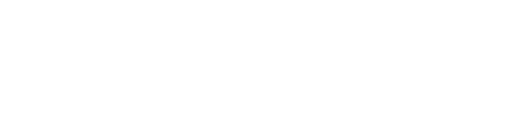 Bland AI