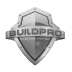Build Pro Construction Inc. logo