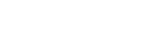 Bland AI