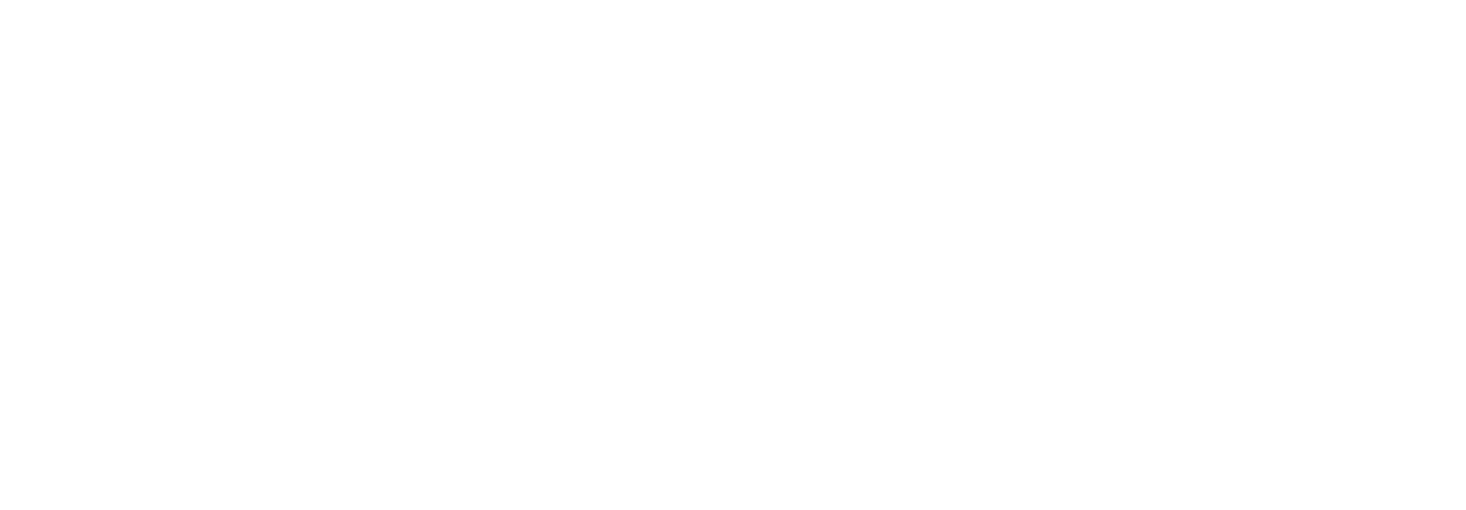 Basic Capital